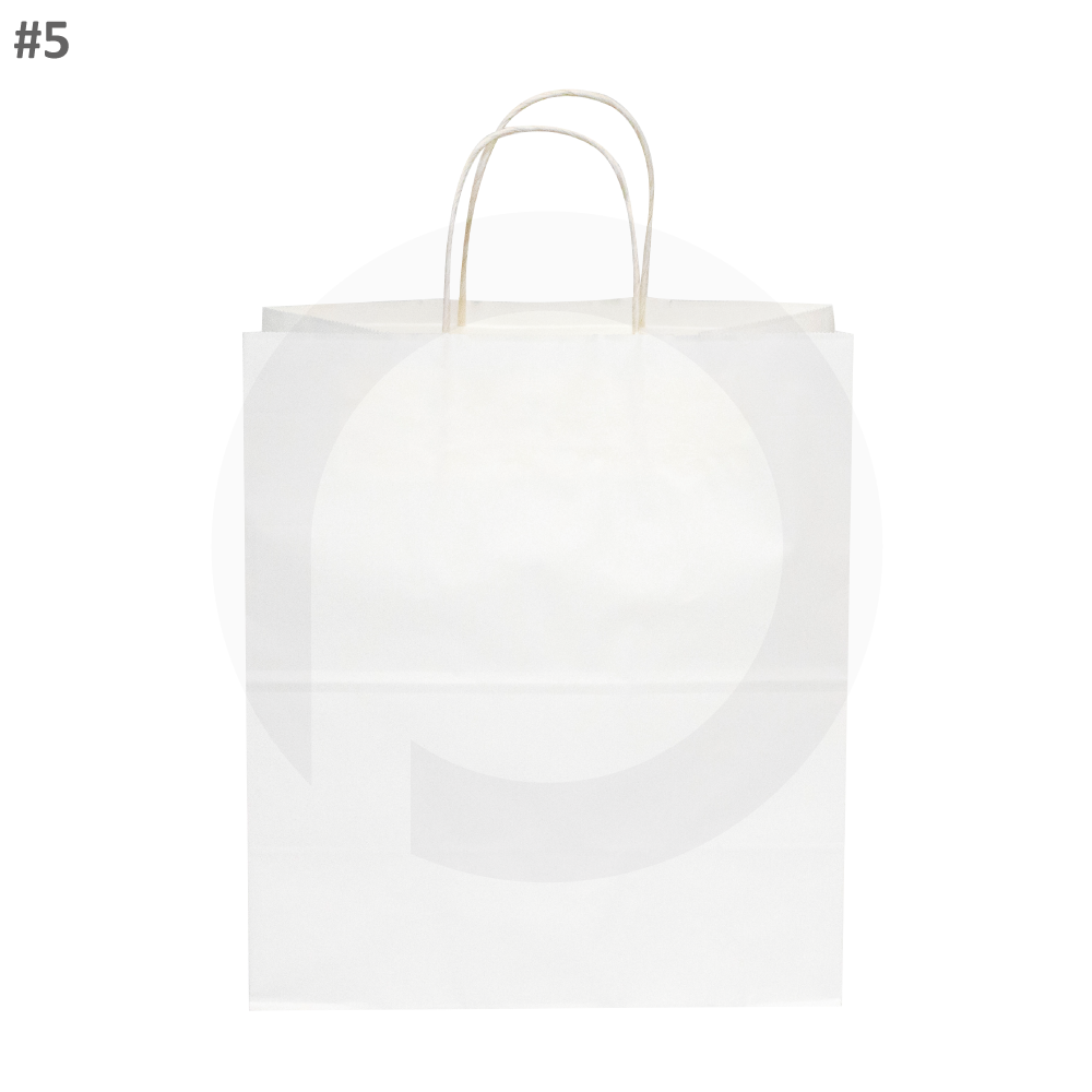 #6 White Paper Twisted Handle Bag 200/ctn