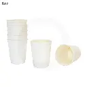 8oz Double Wall White Paper Cup 500/ctn