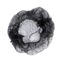 Black Single Elastic Non-Woven Hair Cap 1000/ctn