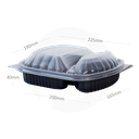 PP Plastic 2 Sections Rectangular Box 250/ctn