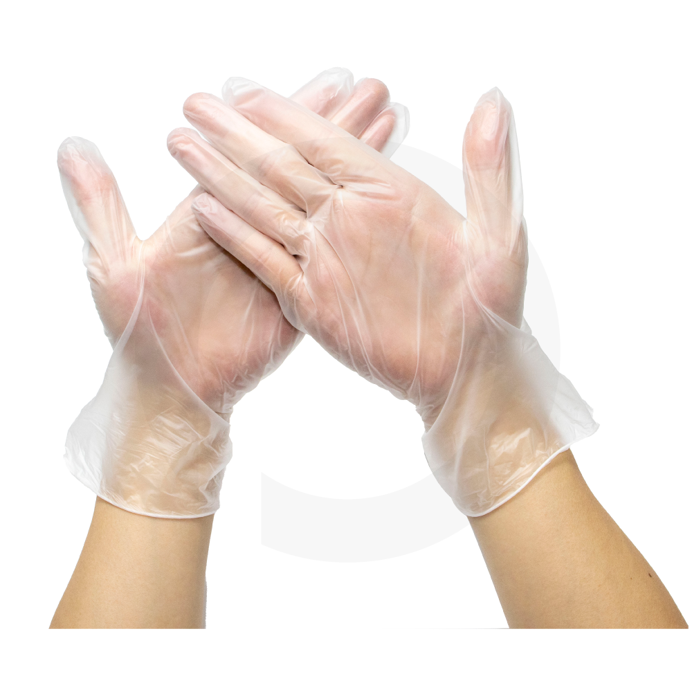 Large Clear Vinyl Gloves 1000/ctn