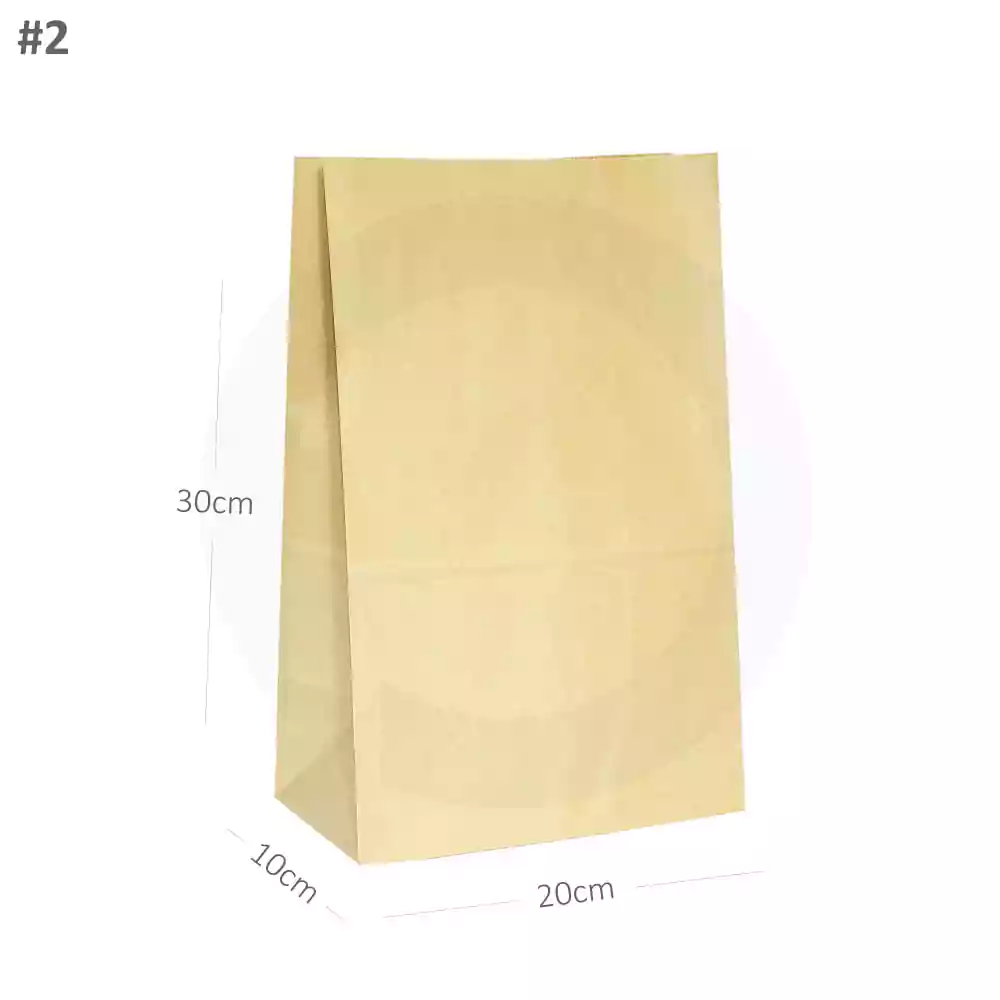 #2 Kraft Paper No Handle Bag 200/ctn