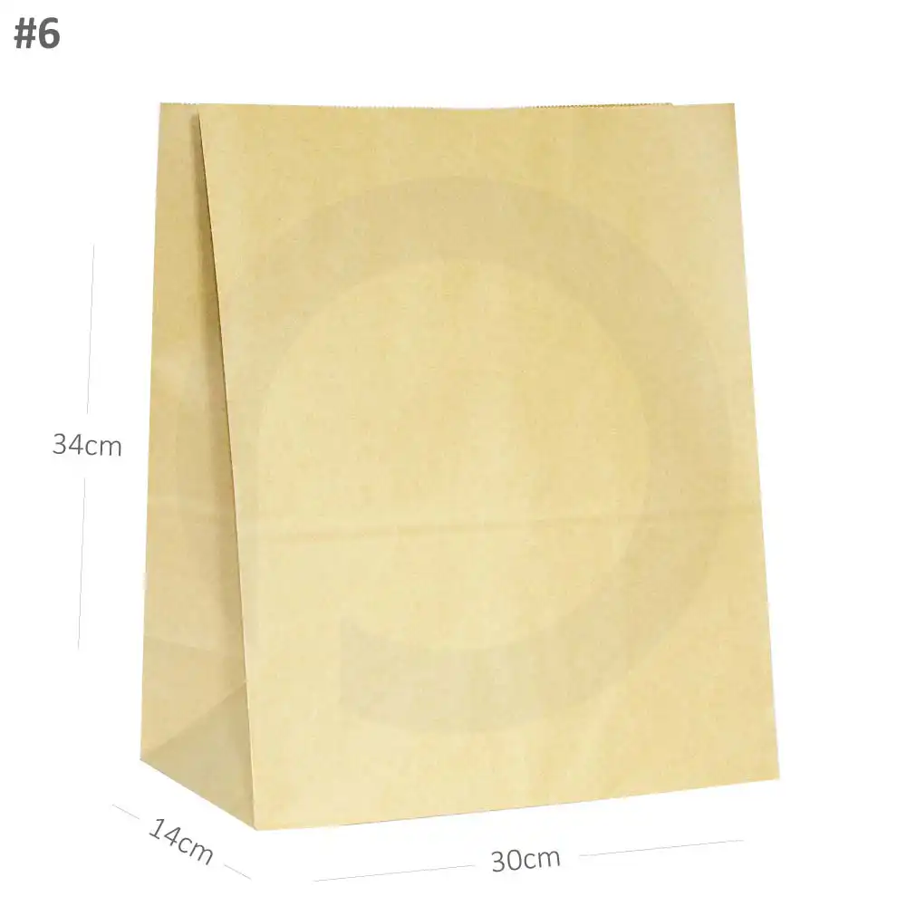 [new013] #6 Kraft Paper No Handle Bag 200/ctn
