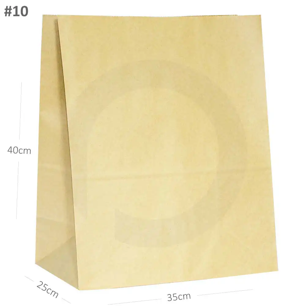 [new017] #10 Kraft Paper No Handle Bag 200/ctn